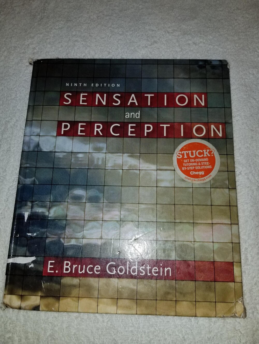 Sensation and Perception Hard Back Text book Goldstein